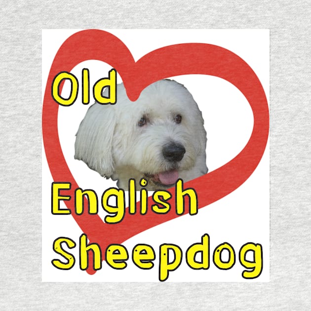 Old English Sheepdog by Ians Photos and Art